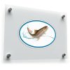 Rainbow Trout Vinyl Sticker 1