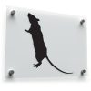 Rat Silhouette Sticker