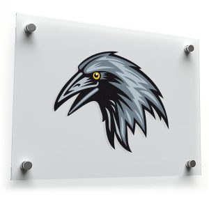 Raven Head Vinyl Decal