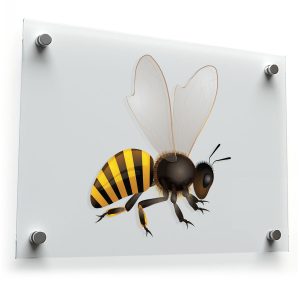 Realistic Bee Vinyl Decal