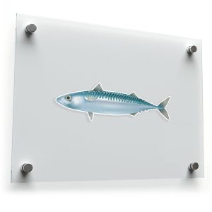 Realistic Fish Vinyl Sticker