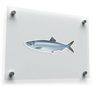 Realistic Fish Vinyl Sticker