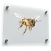 Realistic Honey Bee Sticker 1