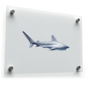 Realistic Shark Vinyl Sticker
