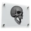 Realistic Skull Sticker