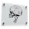 Realistic Skull Wall Decal 1