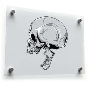 Realistic Skull Wall Decal