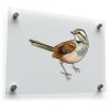 Realistic Sparrow Bird Wall Decal 1
