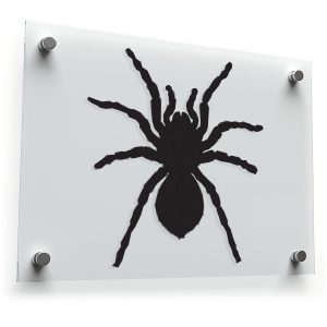 Realistic Spider Silhouette Sticker
