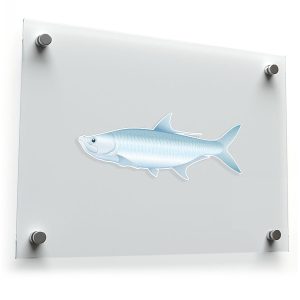 Realistic Tarpon Fish Sticker