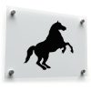 Rearing Horse Silhouette Sticker