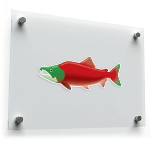 Red Sockeye Salmon Vinyl Decal