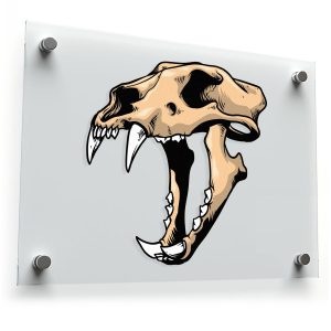 Saber-Tooth Skull Sticker