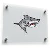 Shark Decal Sticker