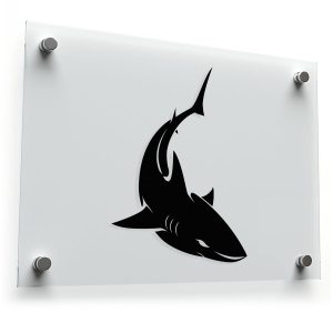 Shark Vinyl Sticker