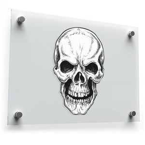 Skull Illustration Vinyl Sticker