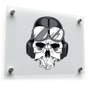 Skull Pilot Decal