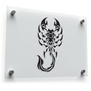 Smiling Starfish Vinyl Sticker