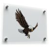 Soaring Bald Eagle Sticker
