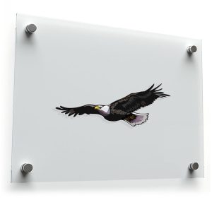 Soaring Bald Eagle Sticker