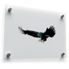Soaring Black Eagle Sticker 1