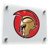 Spartan Helmet Sticker 1