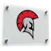 Spartan Helmet Sticker 1