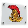 Spartan Warrior Helmet Sticker 1