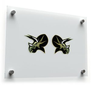 Triceratops Dinosaur Head Sticker Set