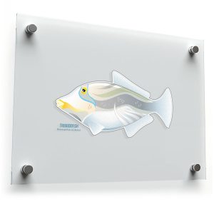 Triggerfish Vinyl Decal