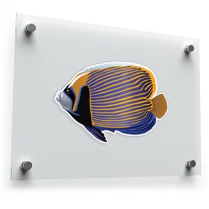 Vibrant Angelfish Vinyl Sticker