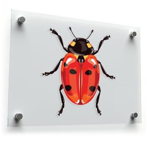 Vibrant Ladybug Vinyl Sticker