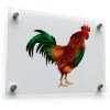 Vibrant Rooster Art Decal 1