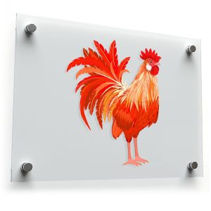 Vibrant Rooster Vinyl Sticker