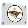 Vintage Bird Vinyl Sticker