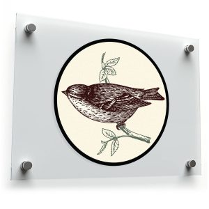 Vintage Bird Vinyl Sticker
