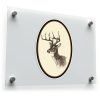 Vintage Deer Head Vinyl Sticker