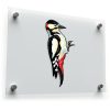 Woodpecker Vinyl Sticker 1