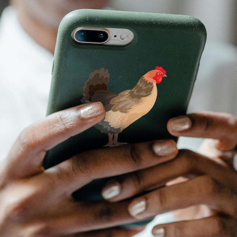 Farmhouse Hen Sticker - Stickers Factory