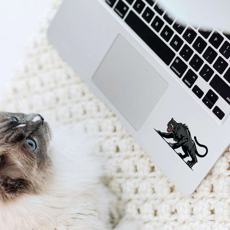 Fierce Panther Vinyl Sticker 8 Fierce Panther Vinyl Sticker - Image 6