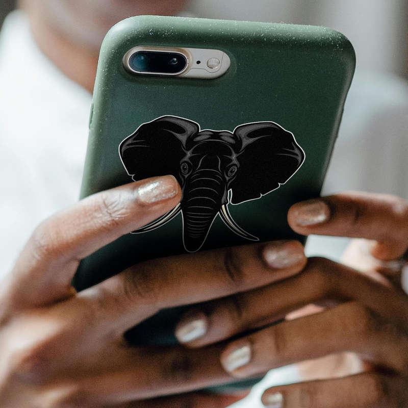 Majestic Elephant Head Sticker 7 Majestic Elephant Head Sticker - Image 5