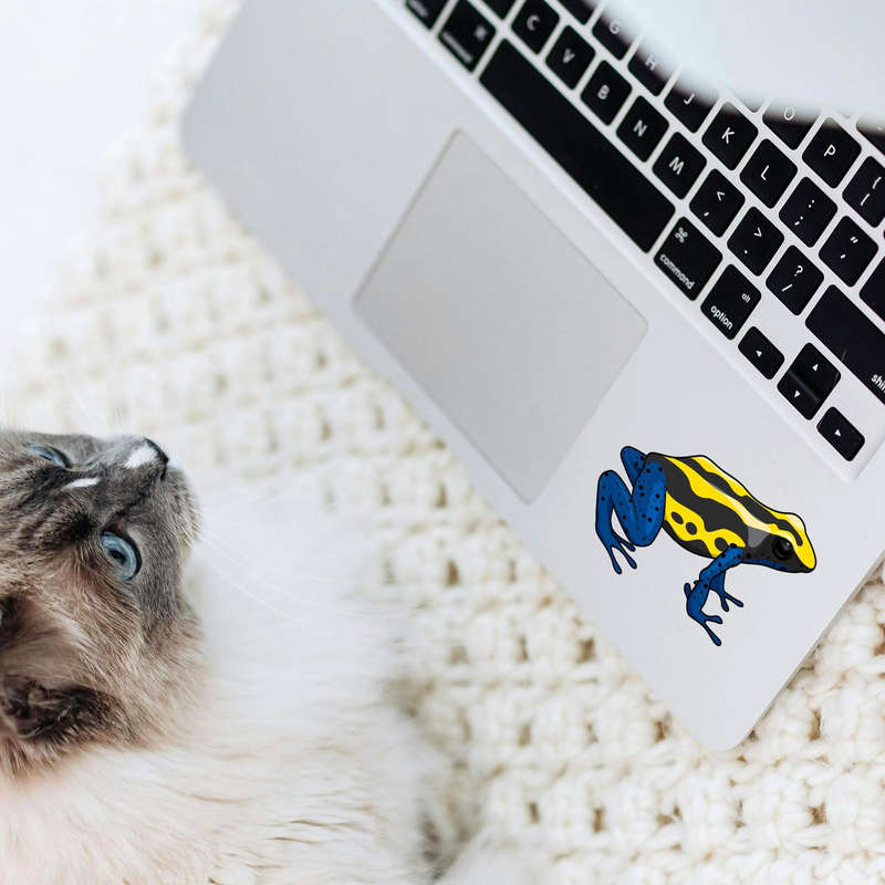 Poison Dart Frog Sticker 7 Poison Dart Frog Sticker - Image 5