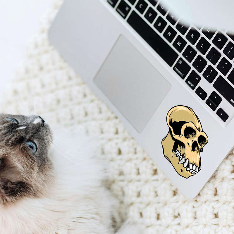 Primate Skull Sticker 7 Primate Skull Sticker - Image 5