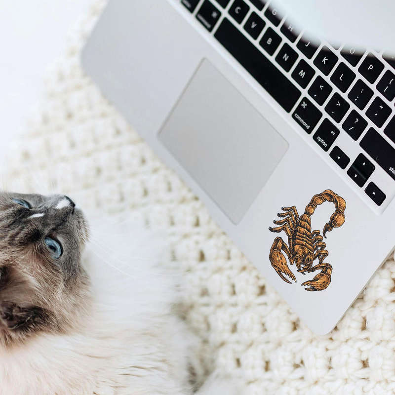 Scorpion Sticker - Image 7