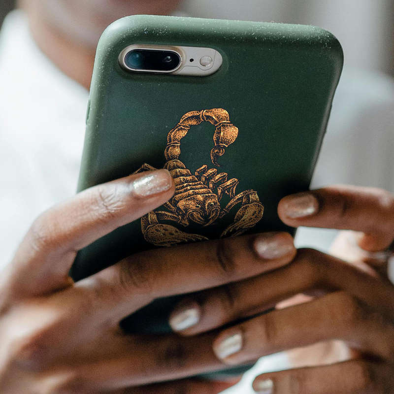 Scorpion Sticker - Image 6