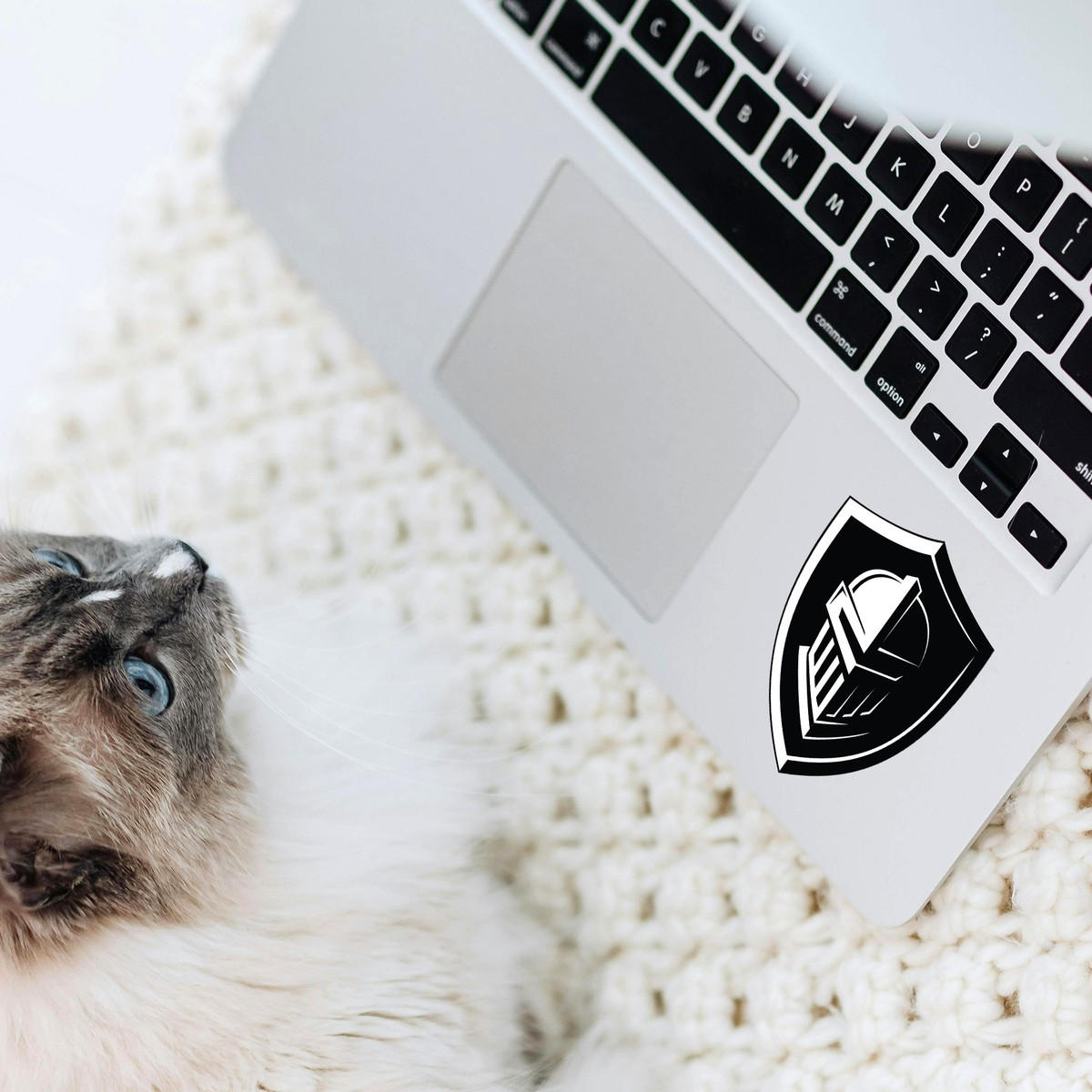 Bold Knight Shield Helmet Decal 8 Bold Knight Shield Helmet Decal - Image 6