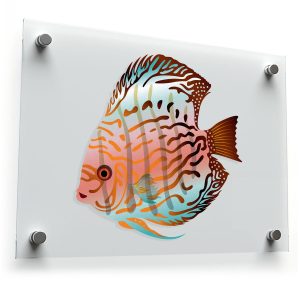 Colorful Discus Fish Vinyl Sticker