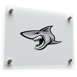 Fierce Shark Head Vinyl Decal