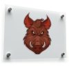 Fierce Wild Boar Head Sticker