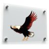 Majestic Bald Eagle Vinyl Sticker 2 Majestic Bald Eagle Vinyl Sticker 1